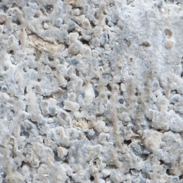 Nikon 180-400mm f/4E TC1.4 FL ED VR AF-S Nikkor Review: Field Test -- Gallery Image