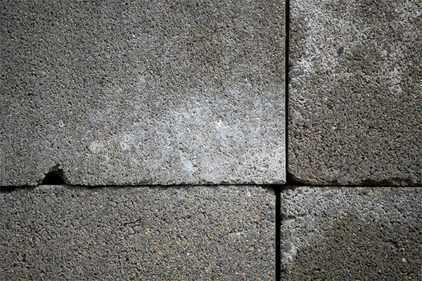 Nikon 180-400mm f/4E TC1.4 FL ED VR AF-S Nikkor Review: Field Test -- Gallery Image