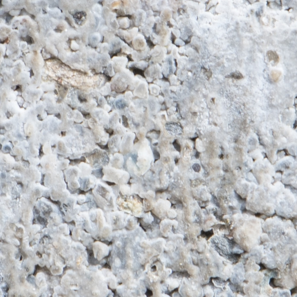 Nikon 180-400mm f/4E TC1.4 FL ED VR AF-S Nikkor Review: Field Test -- Gallery Image