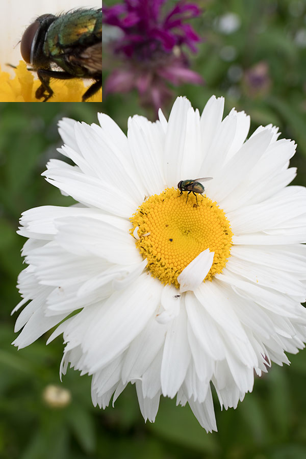 Nikon 28mm f/1.4E ED AF-S Review: Field Test -- Gallery Image