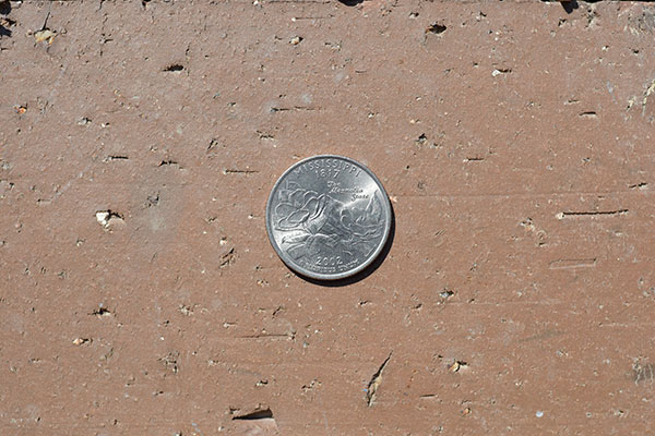 Nikon 28mm f/1.4E ED AF-S Review: Field Test -- Close Focus Test Image