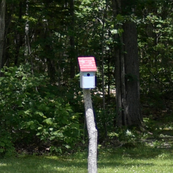 Nikon 28mm f/1.4E ED AF-S Review: Field Test -- Sharpness Test Image