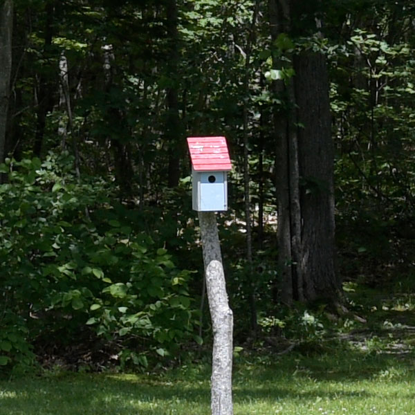 Nikon 28mm f/1.4E ED AF-S Review: Field Test -- Sharpness Test Image