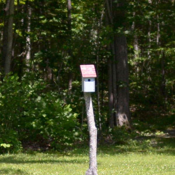 Nikon 28mm f/1.4E ED AF-S Review: Field Test -- Sharpness Test Image