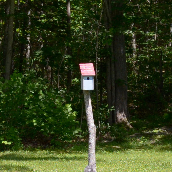 Nikon 28mm f/1.4E ED AF-S Review: Field Test -- Sharpness Test Image