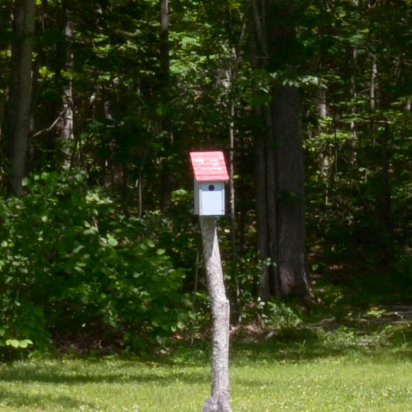 Nikon 28mm f/1.4E ED AF-S Review: Field Test -- Sharpness Test Image