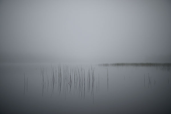 Nikon 28mm f/1.4E ED AF-S Review: Field Test -- Gallery Image