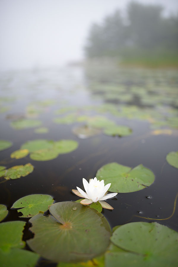 Nikon 28mm f/1.4E ED AF-S Review: Field Test -- Gallery Image