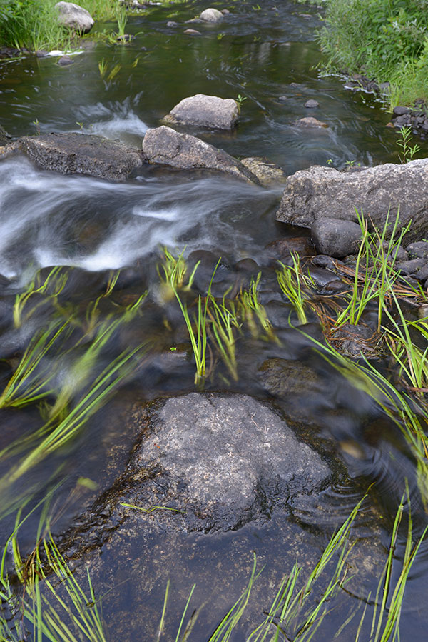 Nikon 28mm f/1.4E ED AF-S Review: Field Test -- Gallery Image