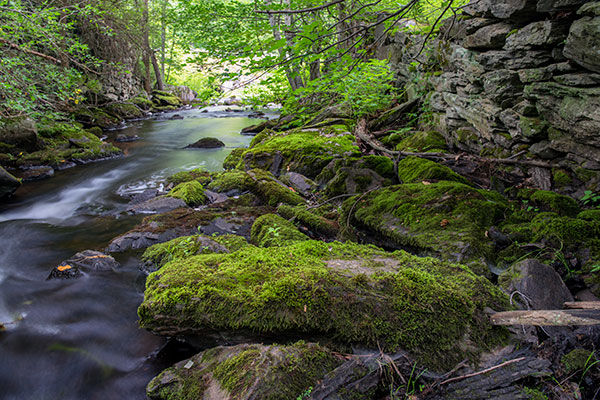 Nikon 28mm f/1.4E ED AF-S Review: Field Test -- Gallery Image