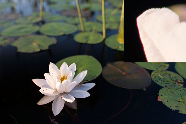 Nikon 28mm f/1.4E ED AF-S Review: Field Test -- Gallery Image