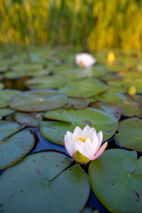 Nikon 28mm f/1.4E ED AF-S Review: Field Test -- Gallery Image