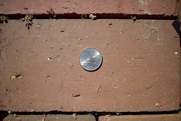 Nikon 28mm f/1.4E ED AF-S Review: Field Test -- Close Focus Test Image