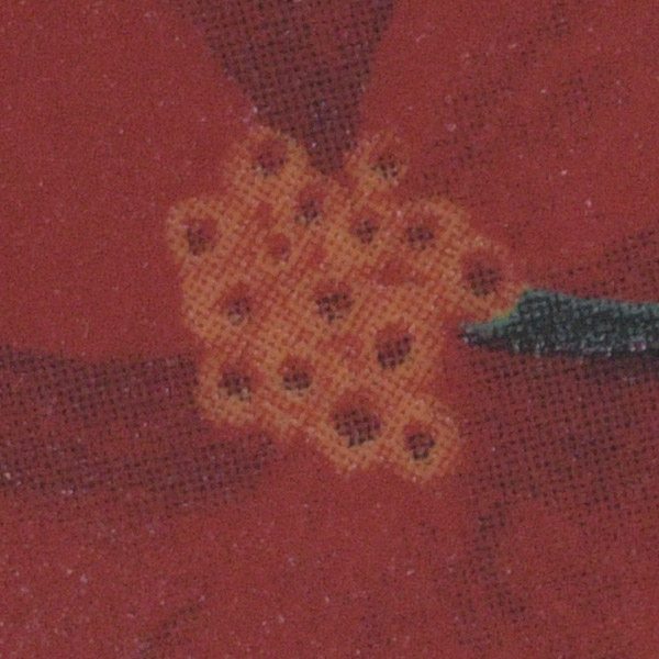 Nikon 500mm f/5.6E PF ED AF-S VR Nikkor Review: Field Test -- Gallery Image