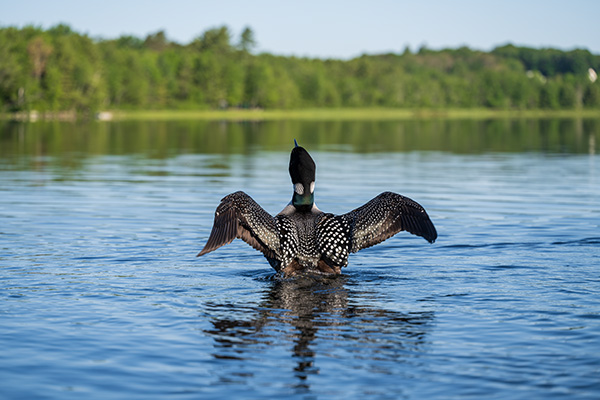 Nikon Z MC 105mm f/2.8 VR S Nikkor Review: Field Test -- Gallery Image