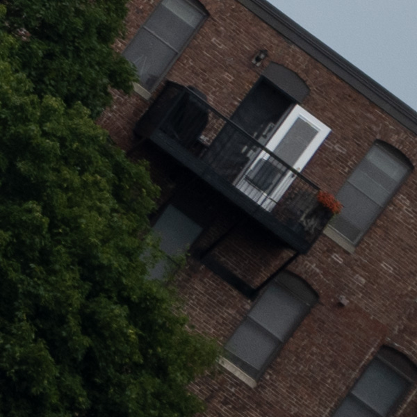 Nikon Z MC 105mm f/2.8 VR S Nikkor Review: Field Test -- Gallery Image