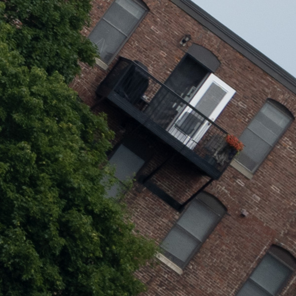 Nikon Z MC 105mm f/2.8 VR S Nikkor Review: Field Test -- Gallery Image