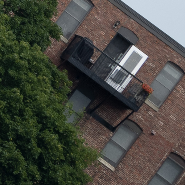 Nikon Z MC 105mm f/2.8 VR S Nikkor Review: Field Test -- Gallery Image