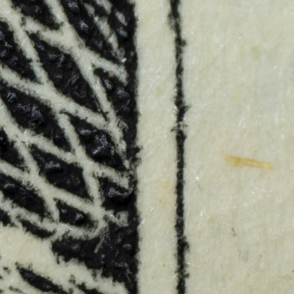 Nikon Z MC 105mm f/2.8 VR S Nikkor Review: Field Test -- Gallery Image