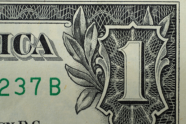 Nikon Z MC 105mm f/2.8 VR S Nikkor Review: Field Test -- Gallery Image