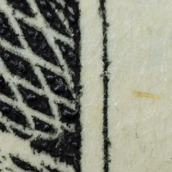 Nikon Z MC 105mm f/2.8 VR S Nikkor Review: Field Test -- Gallery Image