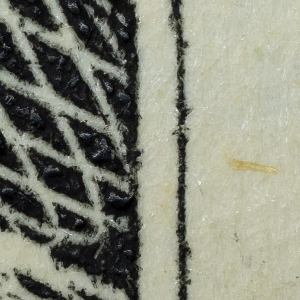 Nikon Z MC 105mm f/2.8 VR S Nikkor Review: Field Test -- Gallery Image