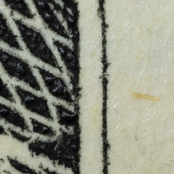 Nikon Z MC 105mm f/2.8 VR S Nikkor Review: Field Test -- Gallery Image