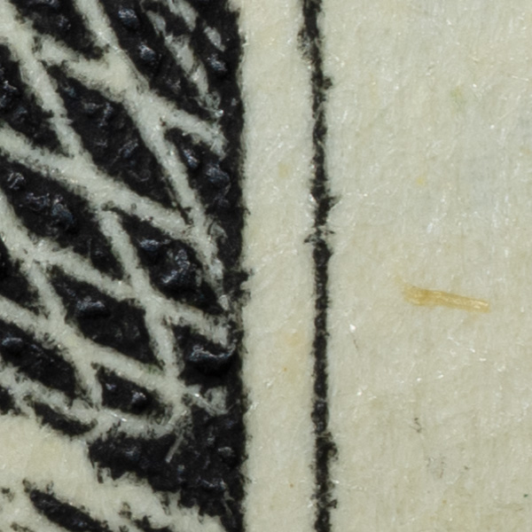 Nikon Z MC 105mm f/2.8 VR S Nikkor Review: Field Test -- Gallery Image