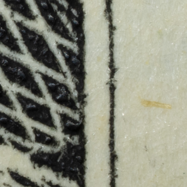 Nikon Z MC 105mm f/2.8 VR S Nikkor Review: Field Test -- Gallery Image