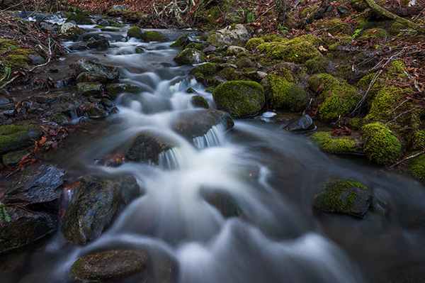 Nikon Z 14-24mm f/2.8 S Nikkor Review: Field Test -- Gallery Image