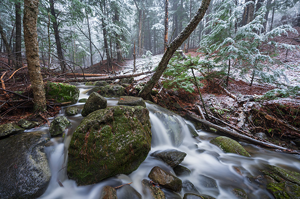 Nikon Z 14-24mm f/2.8 S Nikkor Review: Field Test -- Gallery Image