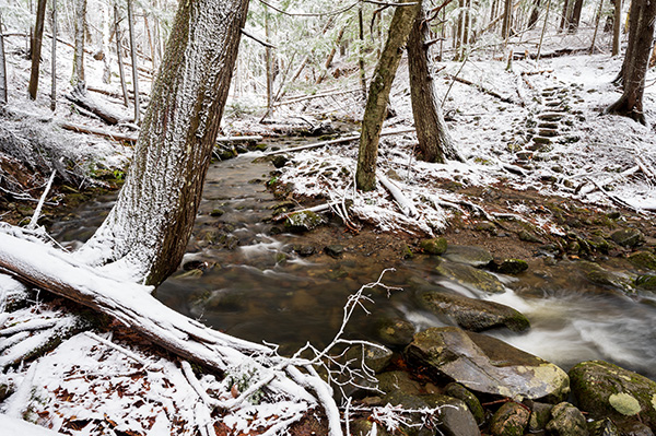 Nikon Z 14-24mm f/2.8 S Nikkor Review: Field Test -- Gallery Image