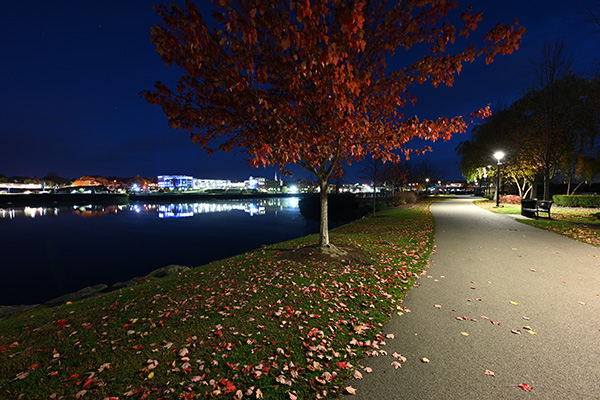 Nikon Z 14-24mm f/2.8 S Nikkor Review: Field Test -- Gallery Image