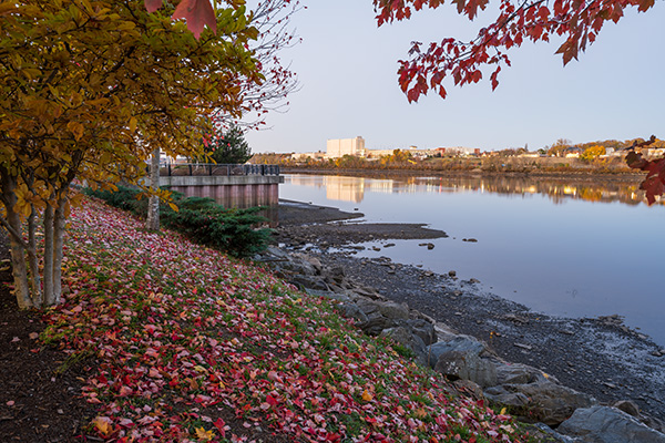 Nikon Z 14-24mm f/2.8 S Nikkor Review: Field Test -- Gallery Image