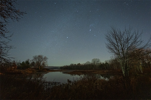 Nikon Z 14-24mm f/2.8 S Nikkor Review: Field Test -- Gallery Image