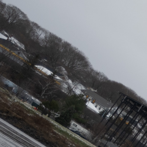 Nikon Z 14-24mm f/2.8 S Nikkor Review: Field Test -- Gallery Image