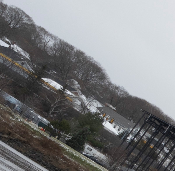 Nikon Z 14-24mm f/2.8 S Nikkor Review: Field Test -- Gallery Image