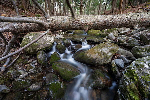 Nikon Z 14-30mm f/4 S Nikkor Review: Field Test -- Gallery Image