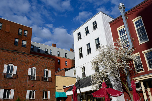 Nikon Z 14-30mm f/4 S Nikkor Review: Field Test -- Gallery Image