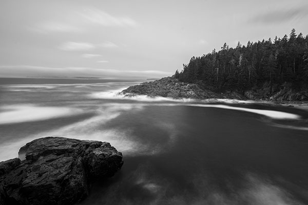 Nikon Z 14-30mm f/4 S Nikkor Review: Field Test -- Gallery Image