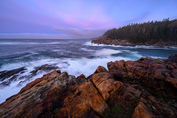 Nikon Z 14-30mm f/4 S Nikkor Review: Field Test -- Gallery Image