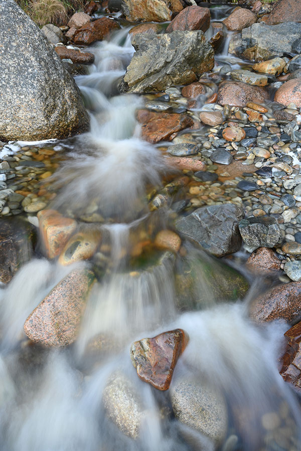 Nikon Z 14-30mm f/4 S Nikkor Review: Field Test -- Gallery Image