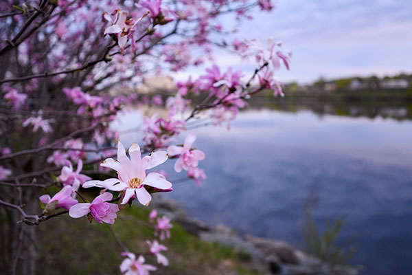 Nikon Z 14-30mm f/4 S Nikkor Review: Field Test -- Gallery Image