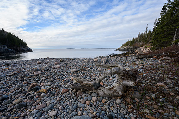 Nikon Z 14-30mm f/4 S Nikkor Review: Field Test -- Gallery Image