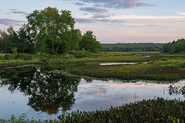 Nikon Z 24-200mm F4-6.3 VR Nikkor Review -- Gallery Image