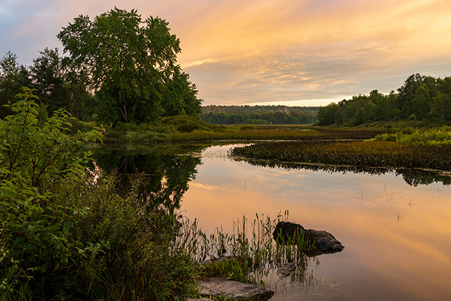 Nikon Z 24-200mm F4-6.3 VR Nikkor Review -- Gallery Image