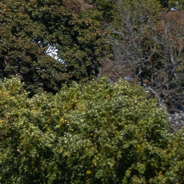 Nikon Z 24-200mm F4-6.3 VR Nikkor Review -- Gallery Image