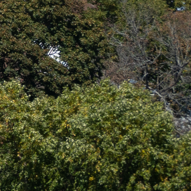 Nikon Z 24-200mm F4-6.3 VR Nikkor Review -- Gallery Image