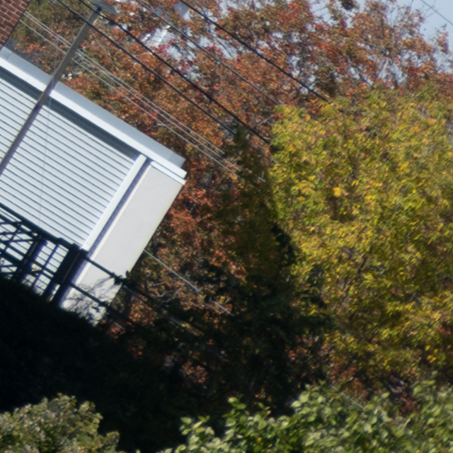 Nikon Z 24-200mm F4-6.3 VR Nikkor Review -- Gallery Image