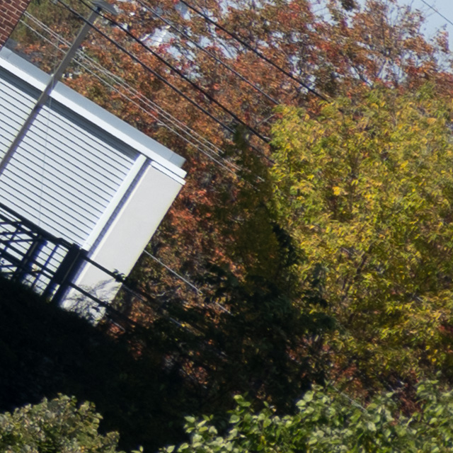 Nikon Z 24-200mm F4-6.3 VR Nikkor Review -- Gallery Image